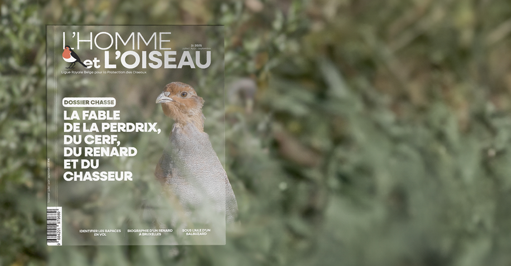 Banner site 3-2025 copie