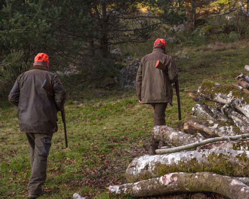 chasse gros gibiers