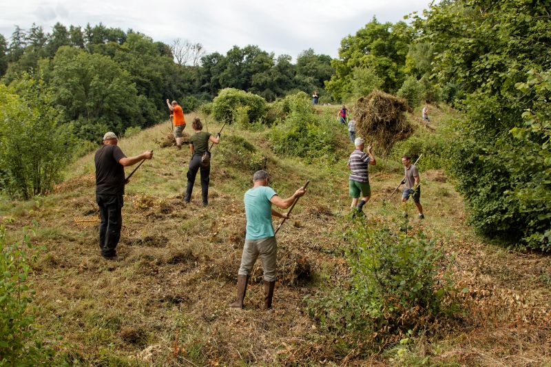 Chantier bénévole (Frédéric Degrave) reserve naturelle