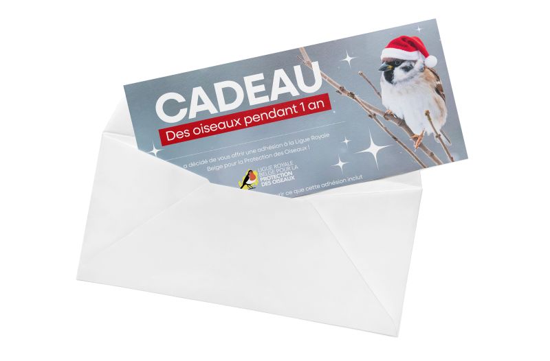 adhesion cadeau lrbpo