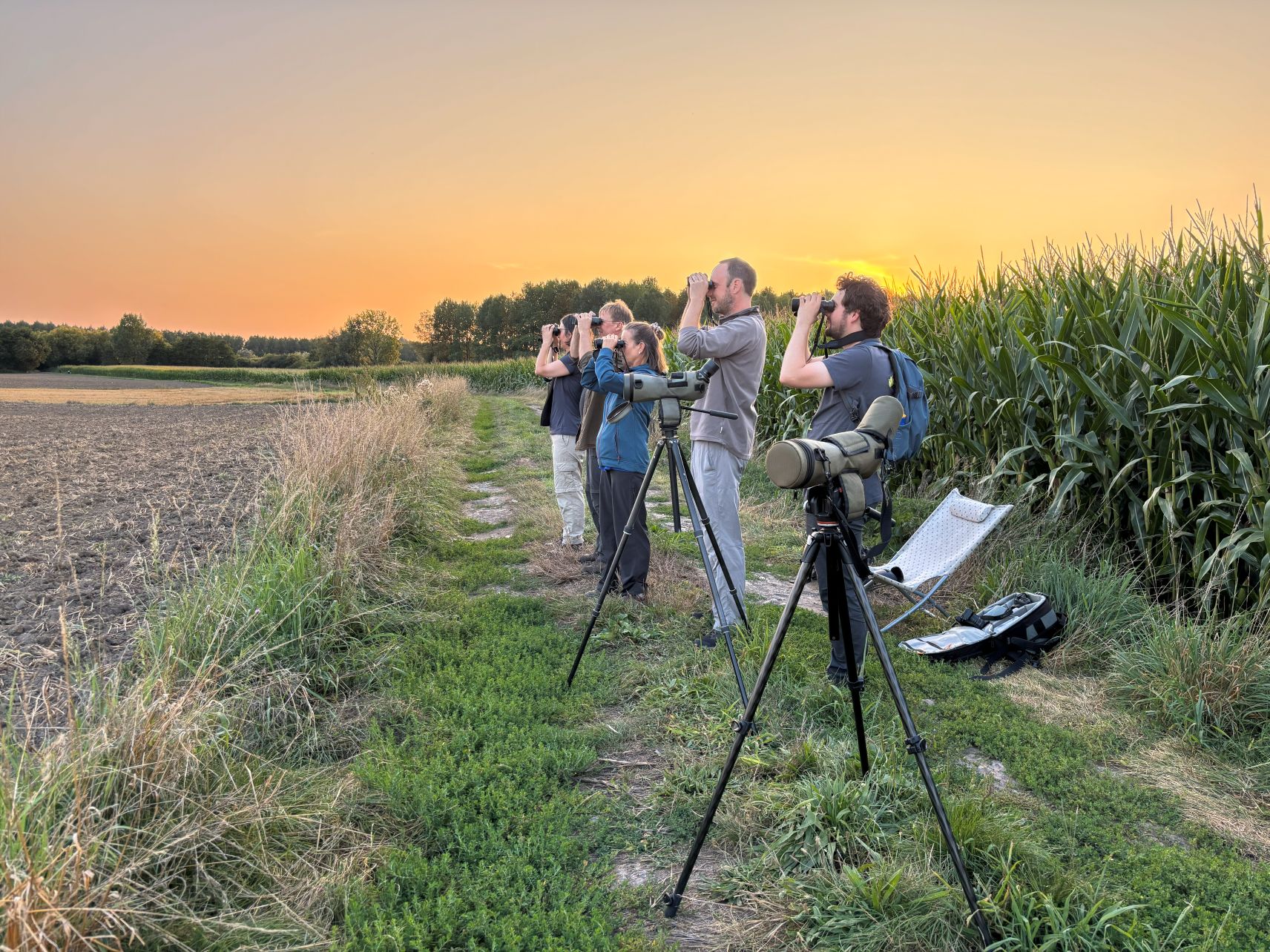 Photo 1 veilleurs d'oiseaux