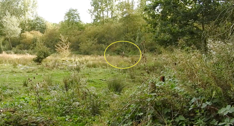 Photo 8 chasseur dans la reserve