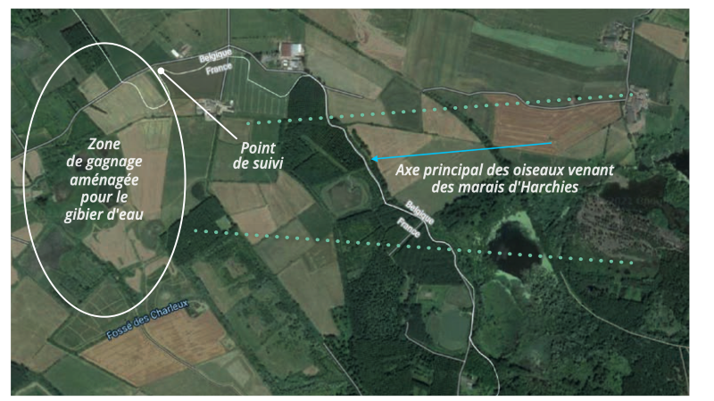 carte axe de vol anatides marais d harchies