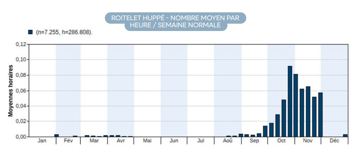graph roitelet huppe