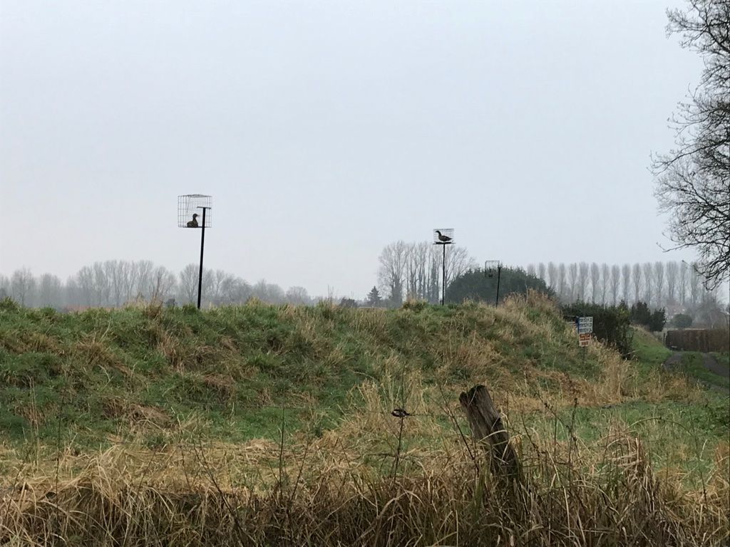 photo 5 Appelants en cage