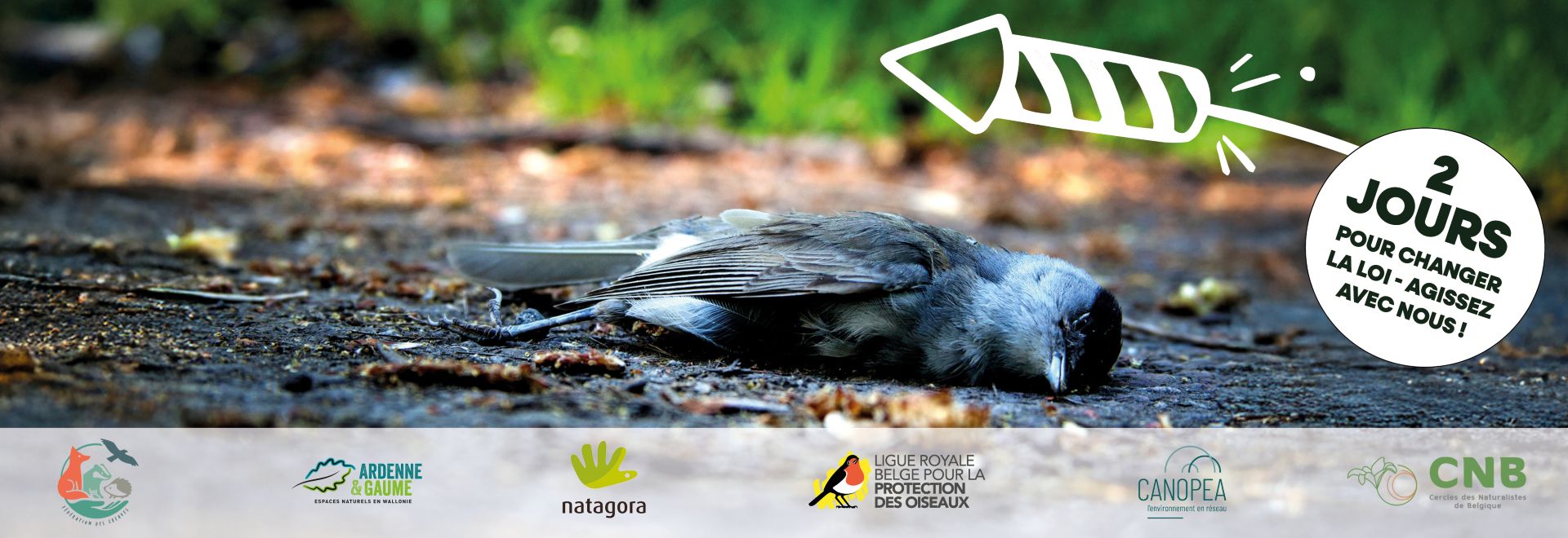 CA campagne feux artifice 2