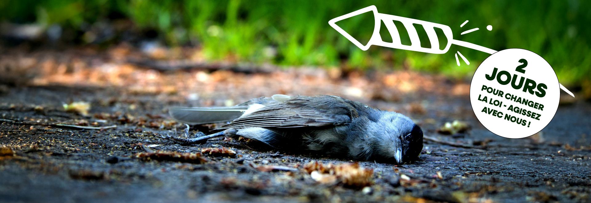 CA campagne feux artifice 3