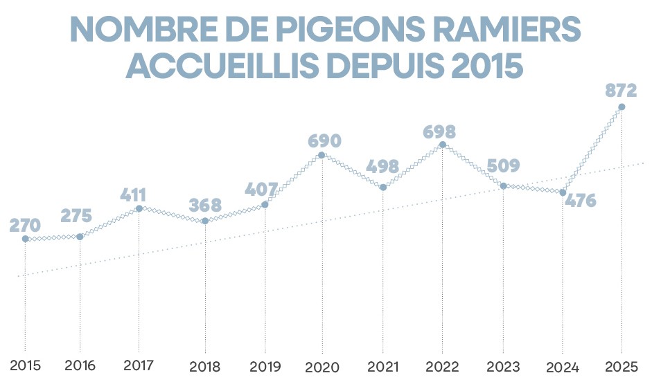 Nombre de pigeons ramiers accueillis depuis 2015