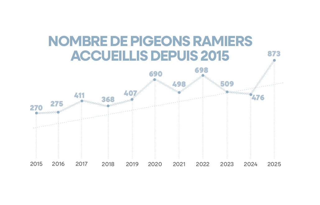 Nombre de pigeons ramiers accueillis depuis 2015
