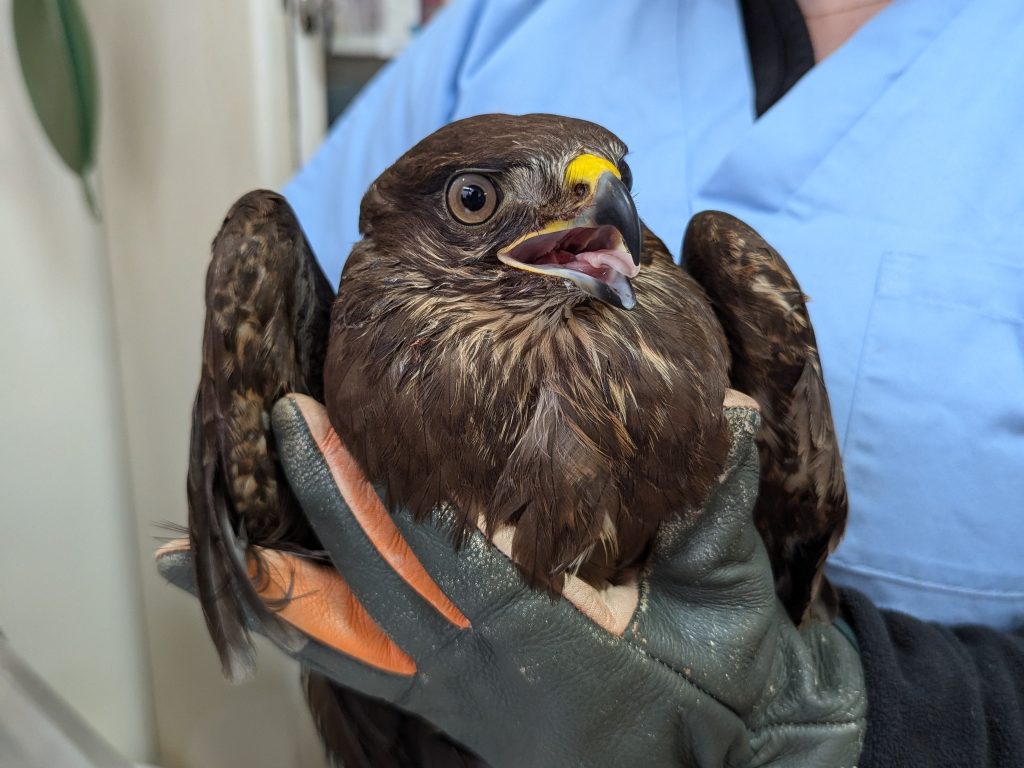 PXL_20250109_112955363 - Copie