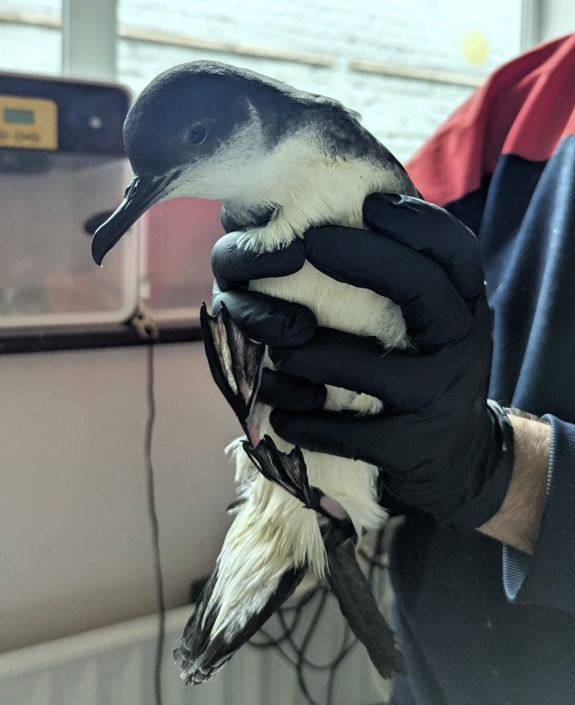 PXL_20250922_130729558.MPbis