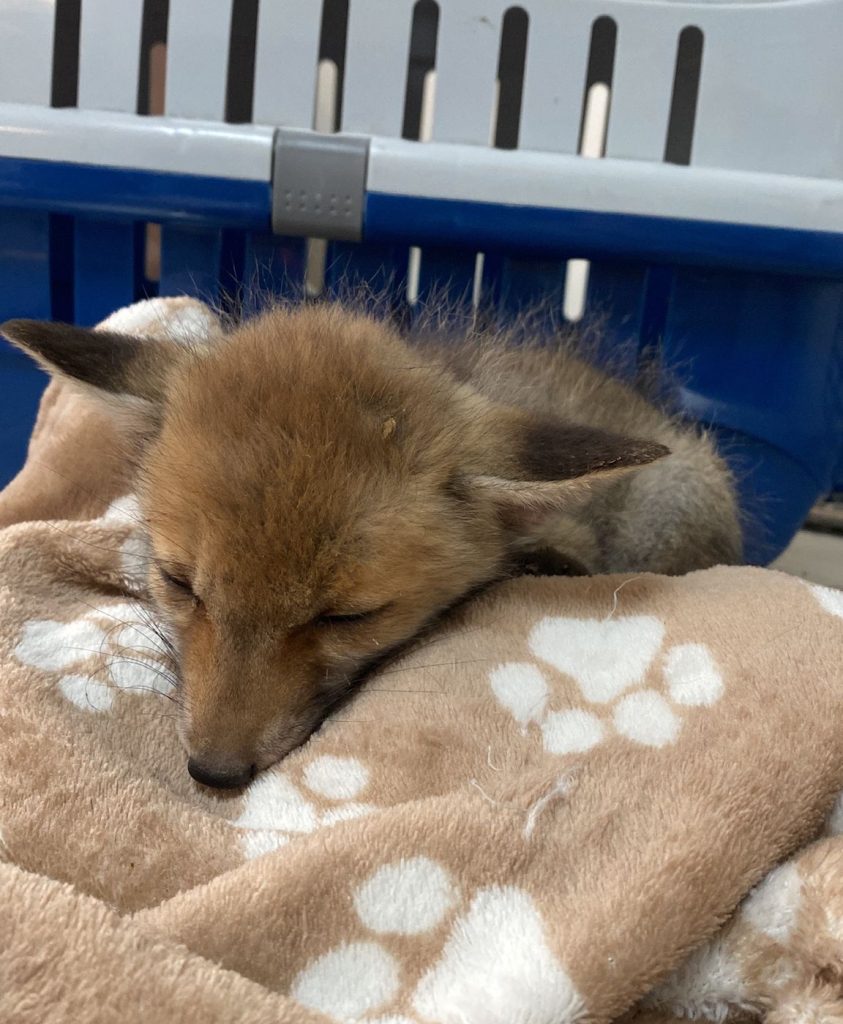 WhatsApp Image 2025-11-09 at 15.49.44