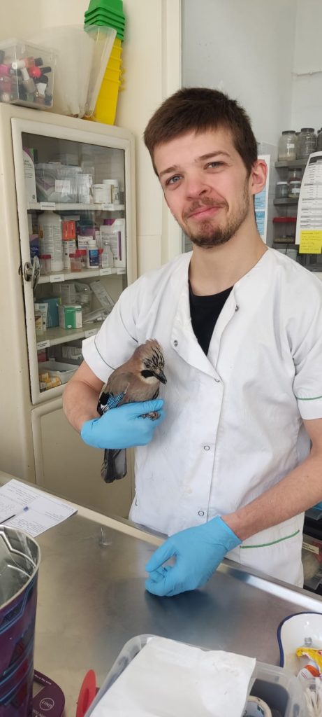 WhatsApp Image 2026-02-13 at 17.31.34