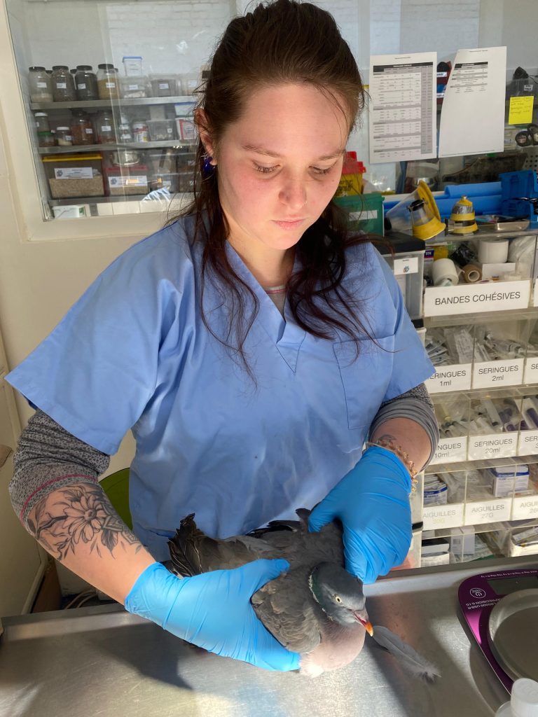 WhatsApp Image 2026-02-17 at 15.46.42