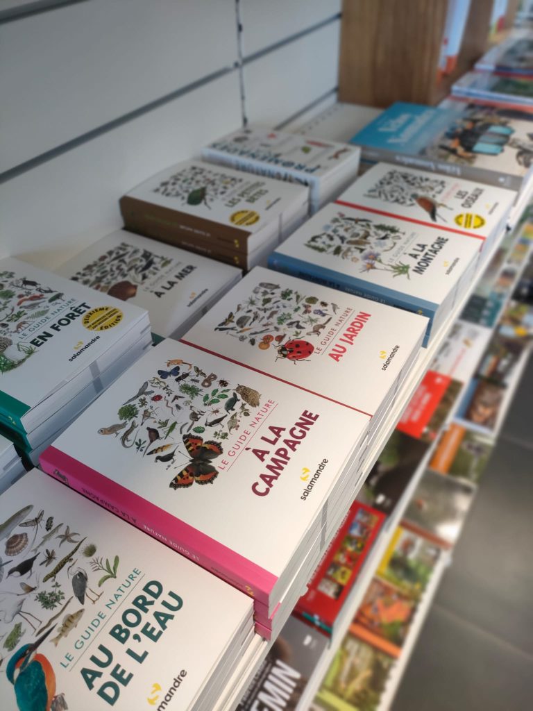 guide identification boutique nature