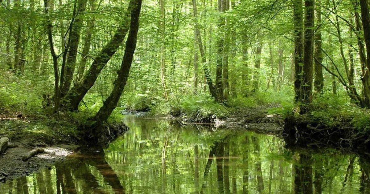 reserve Fond de Noye