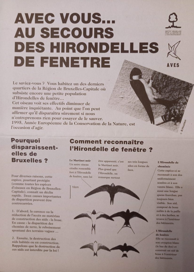 aider les hirondelles doc archive