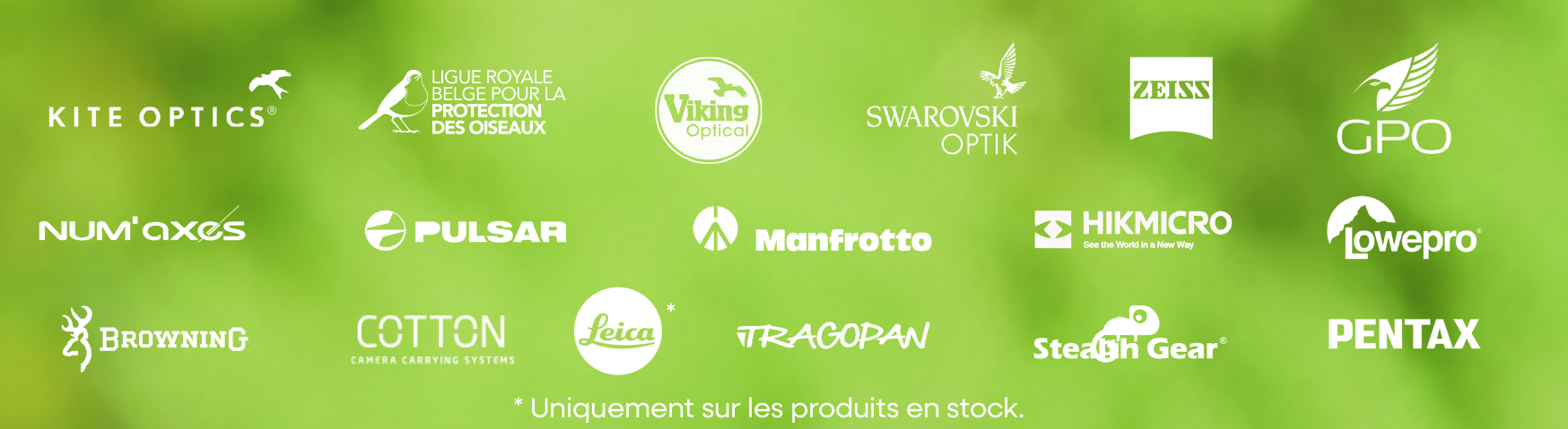 logos optique