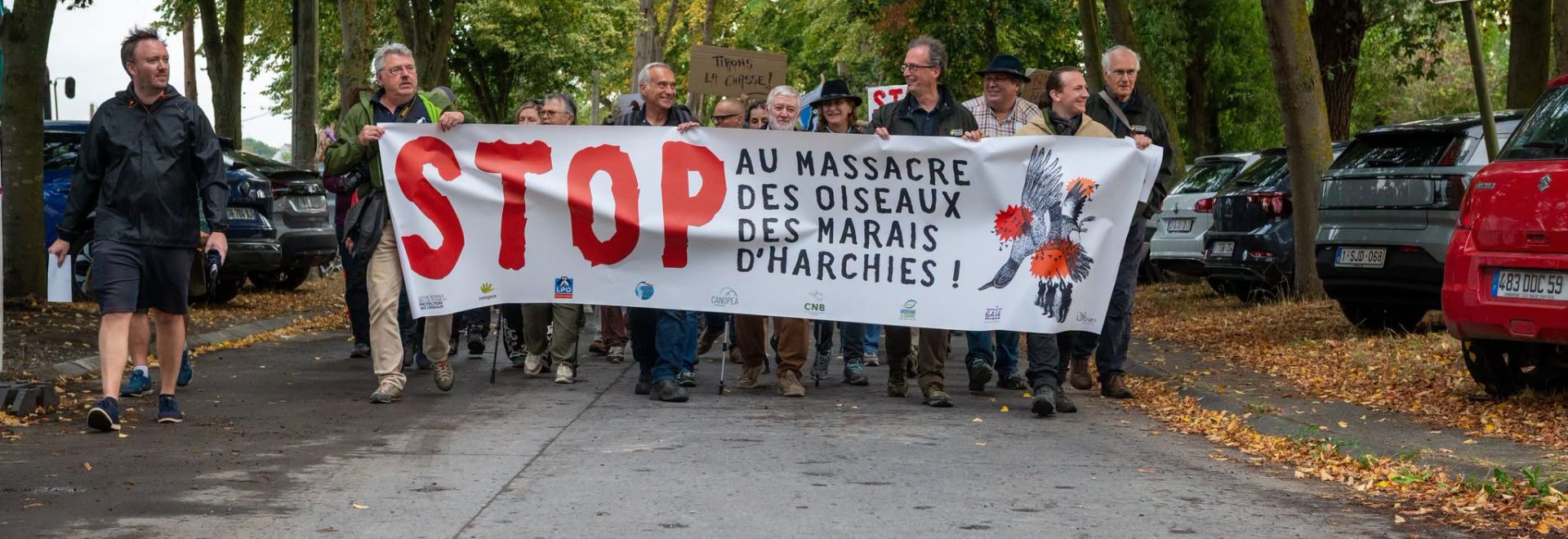 SA harchies merci
